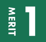 MERIT 1