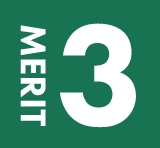 MERIT 1